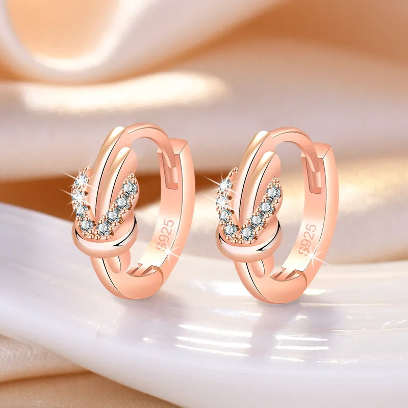 New 925 Sterling Silver Earrings Zircon For Women Exquisite Student Girlfriend Jewelry Accessories Wedding Fashion Gift
