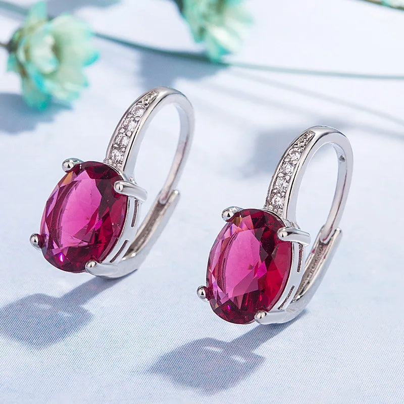 New 925 Sterling Silver Earrings AAA Zircon For Women Exquisite Student Girlfriend Jewelry Accessories Wedding Fashion Gift