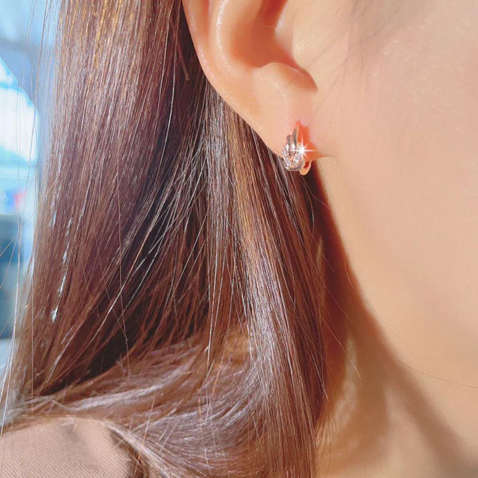 New 925 Sterling Silver Earrings Zircon For Women Exquisite Student Girlfriend Jewelry Accessories Wedding Fashion Gift