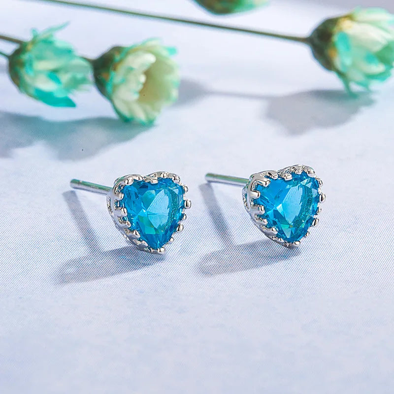 New 925 Sterling Silver Earrings AAA Zircon For Women Exquisite Student Girlfriend Jewelry Accessories Wedding Fashion Gift