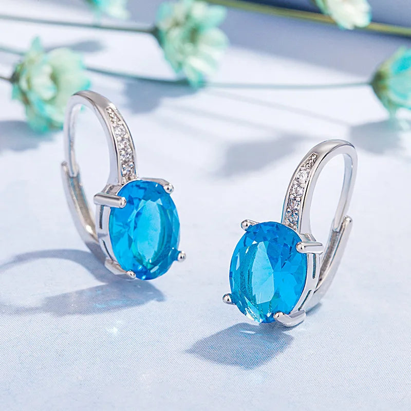 New 925 Sterling Silver Earrings AAA Zircon For Women Exquisite Student Girlfriend Jewelry Accessories Wedding Fashion Gift