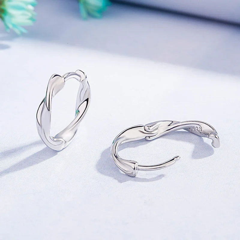 New 925 Sterling Silver Earrings AAA Zircon For Women Exquisite Student Girlfriend Jewelry Accessories Wedding Fashion Gift